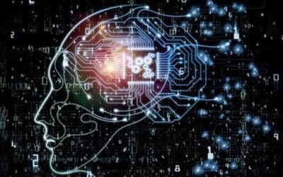 The Use Cases of Random Forest in Oracle Machine Learning
