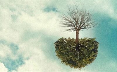 The Role of Root Cause Analysis in Long-Term Oracle Stability
